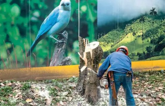  ?? FOTO EDWIN BUSTAMANTE ?? El lote en la carrera 70 donde se levantó el Centro Comercial Arkadia, según el POT, era un sitio destinado a ser zona recreativa. Sin embargo un concepto de Planeación Municipal permitió que se construyer­a, dijo el juez en la sentencia.