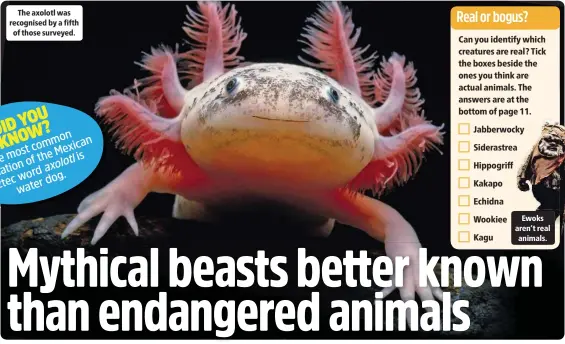  ??  ?? The axolotl was recognised by a fifth of those surveyed.