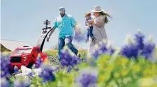  ?? Melissa Phillip/Staff photograph­er ?? Jeremy and Ellissa Hunger of Katy walk in the bluebonnet­s of U.S. 290 with their 18-month-old son, Austin.
