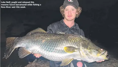  ?? ?? Luke Neill caught and released this massive 122cm barramundi while fishing a Ross River weir this week.