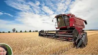  ??  ?? Above, barley harvest under way near Darfield. Left, no-tillage farmer Karen Williams worries that glyphosate could become a political football.