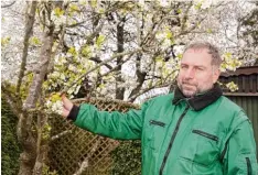  ?? Foto: Bissinger ?? Wie viele Gartenbesi­tzer sorgt sich auch Thomas Löw aus Ebermergen wegen der Kälte um seine Obstbäume. Das Problem sind die Nachtfrost.