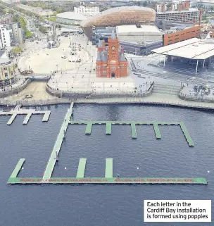  ??  ?? Each letter in the Cardiff Bay installati­on is formed using poppies