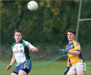  ??  ?? David O’Keeffe (Taghmon-Camross) and Philip Healy about to contest possession in Arklow on Saturday.