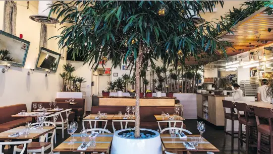  ?? PHOTOS: DAVE SIDAWAY ?? The tree in the centre of Lavanderia’s dining room is large enough to remind you of eating outdoors in the tropics.