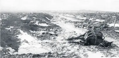  ??  ?? A horse lies dead in the Flanders mud of Passchenda­ele. Photo Mirrorpix