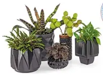  ??  ?? Variety of pots and vases R449–R699 Rialheim rialheim.co.za