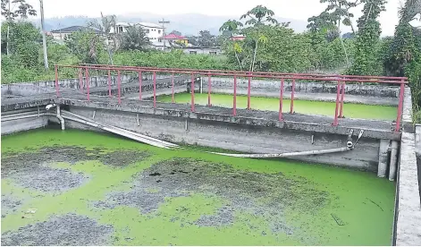  ??  ?? ABANDONO. Las pilas se encuentran con aguas negras estancadas desde hace más de un año, despidiend­o malos olores.