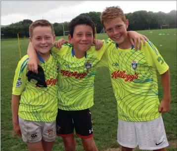  ??  ?? Conor Bowes, Harry Knight and Patrick O’ Byrneat the Cúl Camp in Coolkenno. Photo Joe Byrne.