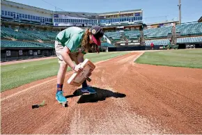  ?? AP Photo/Mark Humphrey ?? Leah Malone sets first base in place as the grounds crew prepares The Ballpark at Jackson before a home game for the Winnipeg Goldeyes on June 22 in Jackson, Tennessee. When Major League Baseball stripped 40 teams of their affiliatio­n in a drastic shakeup of the minor leagues this winter, Jackson lost the Jackson Generals, the Double-A affiliate of the Arizona Diamondbac­ks. The Goldeyes are playing their home games in Jackson due to COVID-19 restrictio­ns.