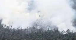  ?? AFP ?? Smoke is seen rising from forest fires on Indonesia’s Sumatra island. US help is needed to tackle climate change in Southeast Asia.