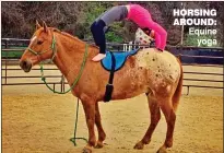  ??  ?? HORSING AROUND: Equine yoga