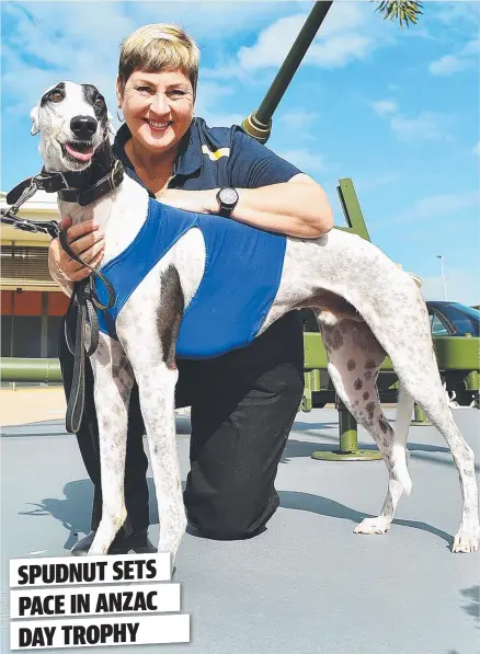  ?? Picture: FIONA HARDING ?? PITCHED BATTLE: Gail Lane and her greyhound Willy are geared up for the Anzac Day Trophy tonight.
