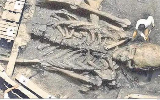  ?? M.G. ?? Una imagen de restos humanos muy difundida en internet.
