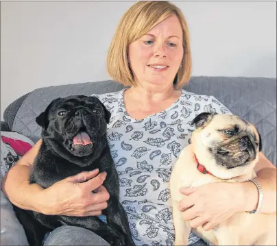  ?? JIM DAY/THE GUARDIAN ?? Bonnie Shave of Uigg cuddles with her pugs Oreo, left, and Spongie. She says her dogs offered gentle, soothing comfort that was key in recovering emotionall­y and mentally from a mastectomy.