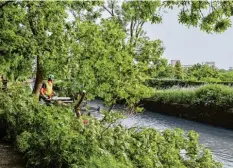  ?? Foto: Peter Fastl, Archiv ?? Im Frühsommer wurden Bäume am Herrenbach­ufer gefällt. Jetzt sollen weitere Bäume verschwind­en.