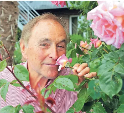  ?? RP-FOTO: FISCHER ?? „Ein schöner Garten will jeden Tag seinen Gärtner sehen“, sagt Nabbefeld. Deshalb verbringt er auch viel Zeit auf der 650 Quadratmet­er großen Grünanlage. Auf seine Rosen ist er besonders stolz.