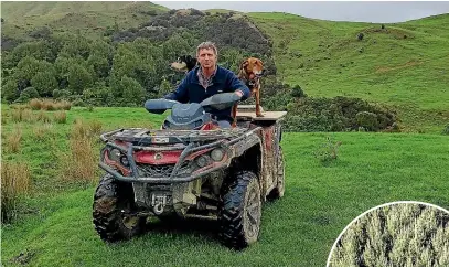  ??  ?? Pahiatua sheep and beef farmer Lincoln Grant says patches of native bush like the one behind him are common on farms, but don’t count in the emissions trading scheme.