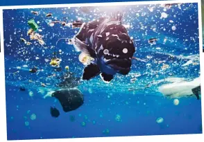  ??  ?? Contaminat­ed: A grouper fish swims among a sea of plastic waste