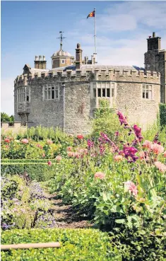  ?? ?? i Floral force: Walmer Castle, a former artillery fort in Kent, has a battalion of blossoms
j Tiptoe through the trumpets: daffodils are on display around the country