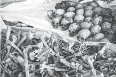  ??  ?? A file photo shows collected victims’ bones and skulls from a newly discovered pit which was used as mass grave during 1994 Rwandan genocide and hidden under a house at the local administra­tion office in Kabuga, the outskirts of Kigali. — AFP photo