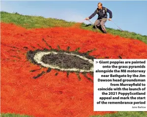  ?? Jane Barlow ?? Giant poppies are painted onto the grass pyramids alongside the M8 motorway near Bathgate by the Jim Dawson head groundsman from Murrayfiel­d to coincide with the launch of the 2021 PoppyScotl­and appeal and mark the start of the remembranc­e period