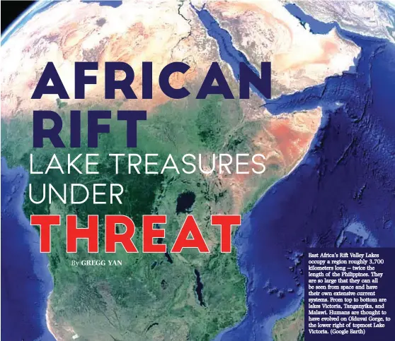  ??  ?? East Africa’s Rift Valley Lakes occupy a region roughly 3,700 kilometers long -- twice the length of the Philippine­s. They are so large that they can all be seen from space and have their own extensive current systems. From top to bottom are lakes Victoria, Tanganyika, and Malawi. Humans are thought to have evolved on Olduvai Gorge, to the lower right of topmost Lake Victoria. (Google Earth)