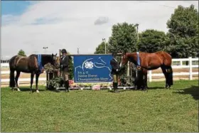  ?? PHOTO COURTESY OF JENNA TYSON ?? Jenna Tyson, left, State Champion in Hunter Type Mare and Chloe Sullivan, right, State Champion in Hunter Type Gelding.