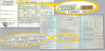  ?? GRAFIK: ISABELLE STÄRK ?? Ob alter Fahrzeugsc­hein (links) oder neuere Zulassungs­bescheinig­ung (rechts): Anhand der Autopapier­e ist die Schadstoff­klasse des Fahrzeugs zu identifizi­eren.