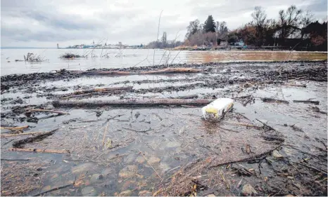  ?? FOTOS: RALF SCHÄFER ?? Das Wasser aus den Seezuflüss­en bringt viel Schwemmhol­z, aber auch eine ganze Reihe Müll mit in den See, der an den Bach- und Flussufern achtlos abgelegt worden war.