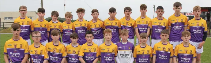  ??  ?? The Faythe Harriers squad prior to Saturday’s defeat in the New Ross Standard Under-14 hurling Division 1 championsh­ip final to keen rivals Naomh Eanna.