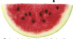  ??  ?? The deep-red watermelon variety contains the pigment lycopene which may help prevent prostate cancer and counter the bad effects of free radicals circulatin­g in the body.