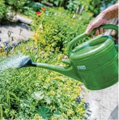  ??  ?? Wie ein Garten aussehen soll, da hat wohl jeder Besitzer eigene Vorstellun­gen. Aber leider darf er sie nicht immer auch umsetzen.