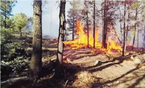  ?? ?? Se espera que los incendios cesen por completo, pues hay un buen pronóstico de lluvia, de acuerdo a estimacion­es de la Conafor