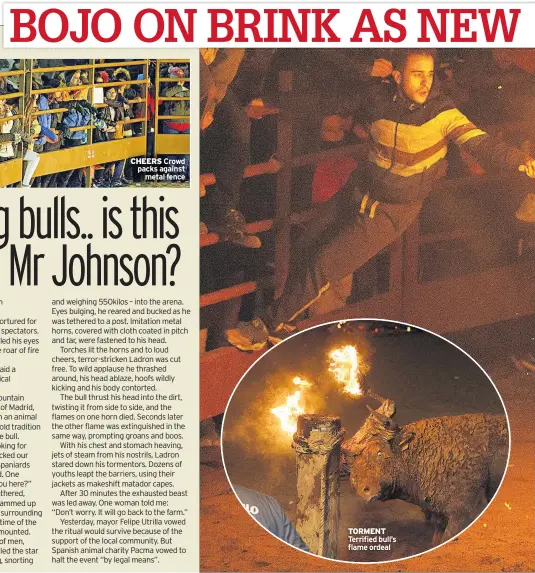 ??  ?? CHEERS Crowd packs against metal fence TORMENT Terrified bull’s flame ordeal