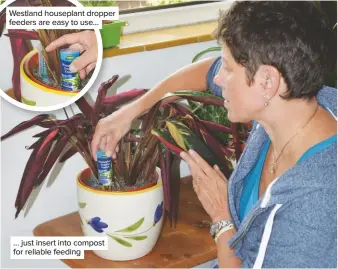  ??  ?? Westland houseplant dropper feeders are easy to use… … just insert into compost for reliable feeding