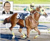  ??  ?? To be ridden by Jockey John Alvin Guce, Sakima is one of the favorites in the Ambassador Eduardo Cojuangco Jr. Cup, held in honor of the SMC chairman (inset).