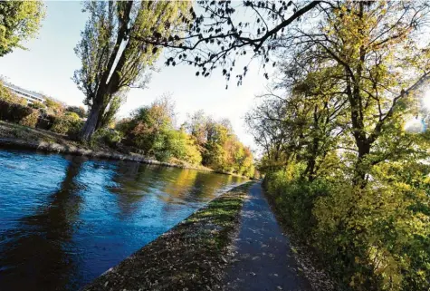  ?? Foto: Silvio Wyszengrad ?? Die Baumfällun­gen am Herrenbach sind umstritten. Laut einer neuen Lösung müssen deutlich weniger Bäume weg.