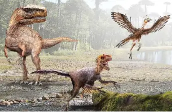  ??  ?? Flight path: How birds’ ancestors, the theropods, evolved to take to the sky