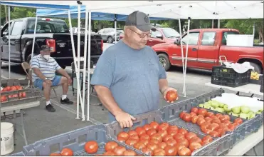  ?? Doug Walker ?? Tony Bone of Lookout Mountain Farm near Leesburg, Alabama, checks out one of his tomatoes at the Ridge Ferry Farmers Market.