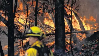  ?? AP PHOTO ?? A wildfire burns along the Highway 29 Friday near Calistoga, Calif.