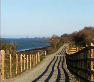  ??  ?? The greenway, the walking and cycling amenity between Carlingfor­d and Omeath along the old railway line on the shoreline is a huge success with locals and visitors alike.