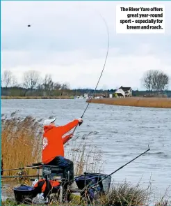  ??  ?? The River Yare offers great year-round sport – especially for bream and roach.