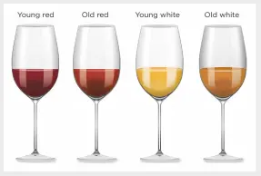  ??  ?? Above: over time, a wine’s colour changes – going lighter in red wines and darker in whites