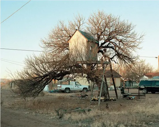  ??  ?? Elisa Larvego. « A Tree House in Valentine, Texas ». Fieldwork. Marfa 2012