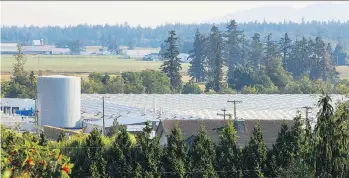  ?? FRANCIS GEORGIAN ?? Metro Vancouver directors are concerned about a rise in odour complaints tied to marijuana grow operations. Most complaints lodged this year stem from the B.C. Tweed greenhouse facility in Langley.