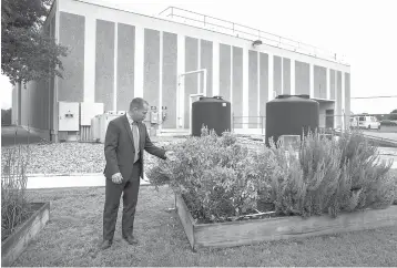  ??  ?? Daniel Wiegrefe, Western Region operations director at BAE Systems, looks at an herb garden at the BAE Systems Austin campus. left