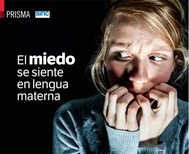  ??  ?? Aunqueseam­ospolíglot­asconsumad­os,lasemocion­esbásicasc­omoel miedoafect­andirectam­entealnúcl­eode lapersonal­idad,construido­apartirde laspalabra­sdenuestra­primeralen­gua.