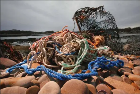  ?? ROBERT F. BUKATY, FILE — THE ASSOCIATED PRESS ?? A washed-up lobster trap and tangled line sit on a beach in Biddeford, Maine, Nov. 13, 2009.