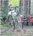  ??  ?? Vorher – nachher: Eindrucksv­oll wurde den etwa 400 Besuchern beim Thementag „Sichere Waldarbeit“der Waldbesitz­ervereinig­ung demonstrie­rt, was passiert, wenn ein Fahrrad von einem fallenden Baum getroffen wird.